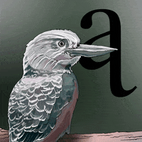 carolyntripp illustration nature drawing australia GIF