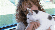 Cat Kitten GIF by Het Klokhuis