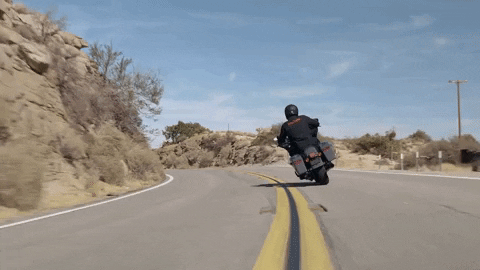 Brand Adventure GIF by Harley-Davidson