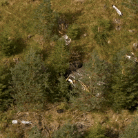 Off The Road Ok GIF by FIA European Rally Championship