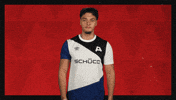 Arminia Bielefeld Football GIF by Bundesliga