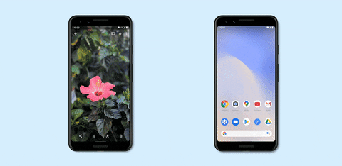 nandiniy giphyupload GIF