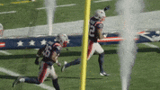 Football Nfl GIF by New England Patriots