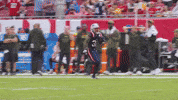 Football Nfl GIF by New England Patriots