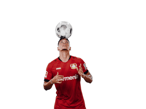 Bayer 04 Ball GIF by Bayer 04 Leverkusen