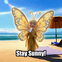 Summer Beach GIF by BuddhaFlyJourney