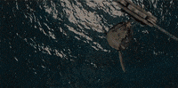 chris pratt dinosaurs GIF by Digg