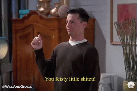 jack mcfarland you feisty little shitzu GIF by Will & Grace