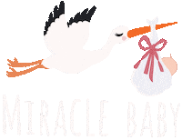 Pregnancy Stork Sticker
