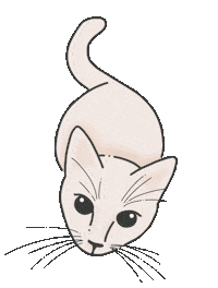 Cat Kitty Sticker