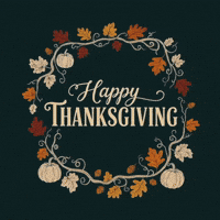 Thanks Giving Thank You GIF