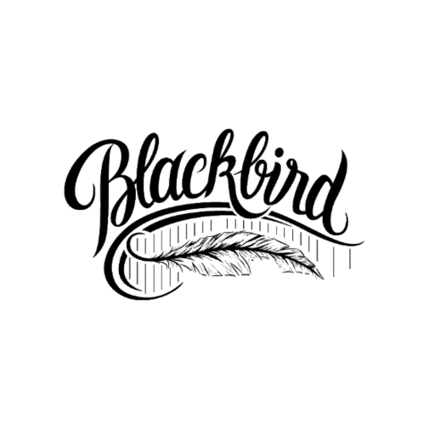 Blackbird Sticker by Blackbirdmelbourne