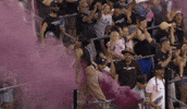 Fans Acfc GIF by National Women's Soccer League