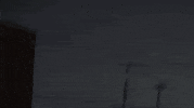 bubble butt GIF by MAJOR LAZER