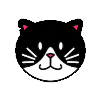 Cat Face Sticker by Pionicon Studios