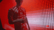 Mainz 05 Football GIF by Bundesliga