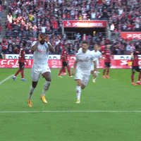 1 Fc Cologne Football GIF by 1. FC Köln