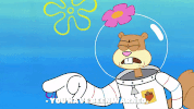 season 9 it came from goo lagoon GIF by SpongeBob SquarePants
