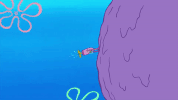 season 9 it came from goo lagoon GIF by SpongeBob SquarePants