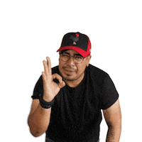 grupobrolan cool like mexico youtuber Sticker