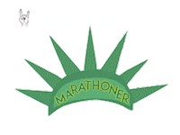 Nyc Marathon Balg Sticker by KellyKKRoberts