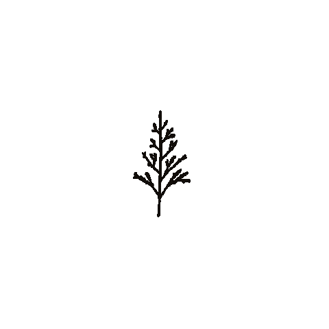 Christmas Sticker by Life at NEXT