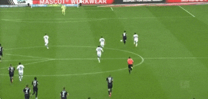 Alfie16 giphyupload GIF