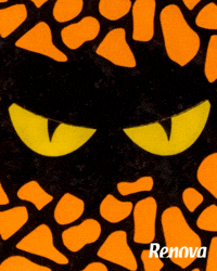 Enough Is Enough Fun GIF by MyRenova