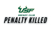 hockeyclubusf usf hockey ice bulls usfhc usfhockey GIF
