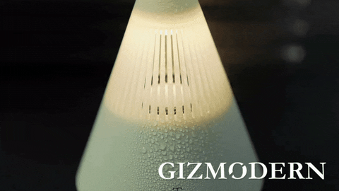 GizModern giphyupload GIF