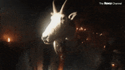 50 States Of Fright GIF by The Roku Channel