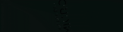 RafaelRiva0 giphygifmaker GIF