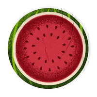 Fruit Watermelon Sticker by Extrafruti