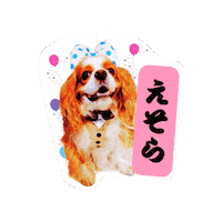 Cavalierkingcharlesspaniel Sticker