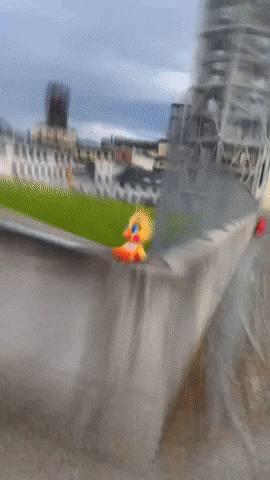 Robot Duck GIF by Youtooz