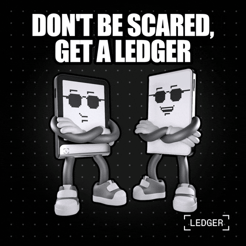 Crypto Stay Safe GIF by Ledger