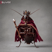 Party Cockroach GIF