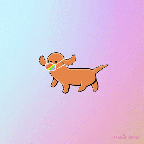 Dog Be Safe GIF by Stefanie Shank