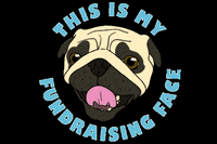 pugrescueaustin pug pugs pugathon pugrescueofaustin GIF