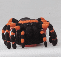 Halloween Spider GIF by TeaCosyFolk