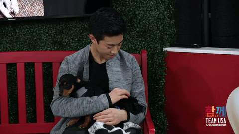 team usa dogs GIF by U.S. Figure Skating