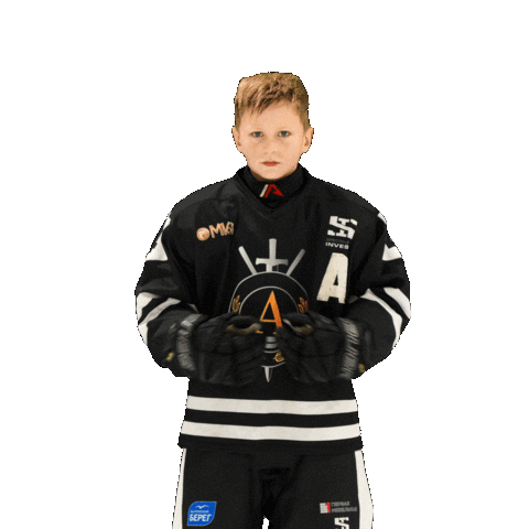 alfahockey хоккей хоккеист альфа хоккейспб Sticker