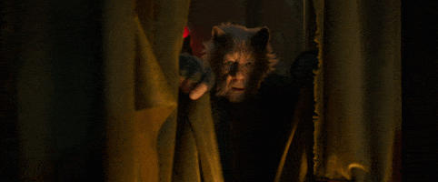 GIF by Cats Movie