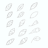 GIF by DAS NAIZ