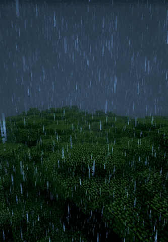 rain roofed forest GIF