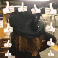 nyfw 2015 GIF by Clint Spaulding