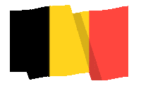 Flag Belgique Sticker