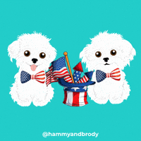Memorial Day Dog GIF by HammyandBrody