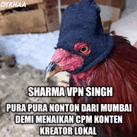 Ayam GIF