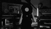 mamfredos art music fun summer GIF